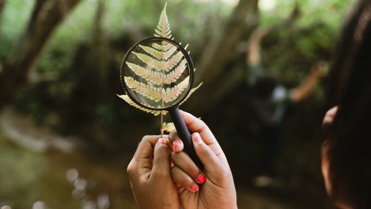 A child holding a magnifying glass to a plant.