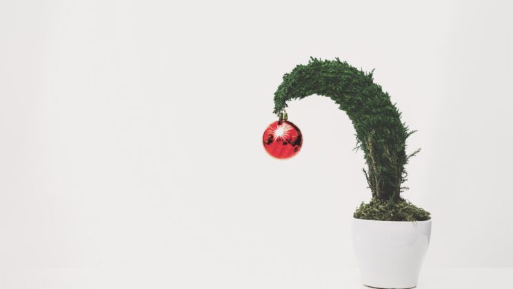 Small tree in a pot with one red ball on the top of it, leaning to the left.